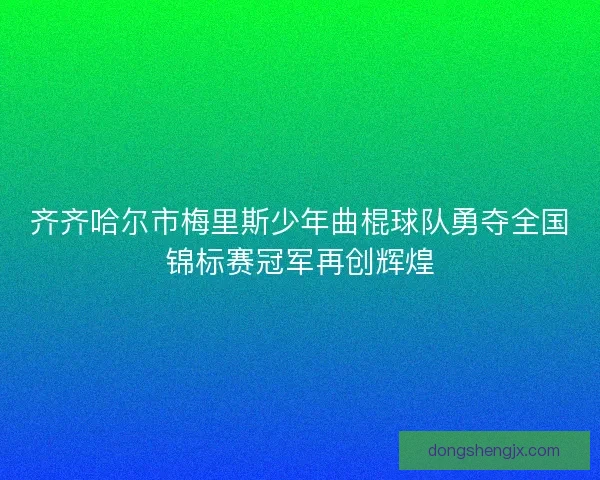 齐齐哈尔市梅里斯少年曲棍球队勇夺全国锦标赛冠军再创辉煌