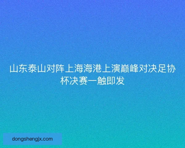 山东泰山对阵上海海港上演巅峰对决足协杯决赛一触即发 山东泰山对阵上海海港上演巅峰对决足协杯决赛一触即发