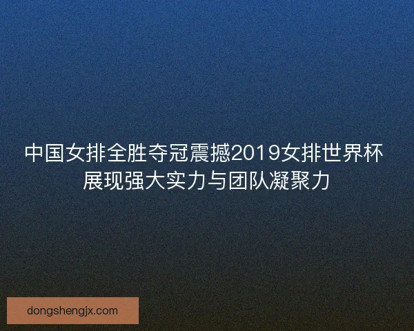 中国女排全胜夺冠震撼2019女排世界杯 展现强大实力与团队凝聚力